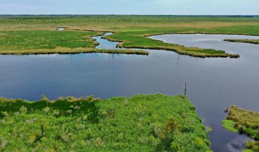 Photo #18 of SOLD property in 295 Kilkenny Rd, Fairfield, NC 9.3 acres