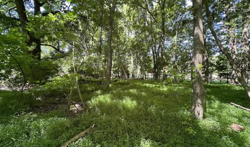 Photo #8 of SOLD property in 19081 Rawlings Rd, Capron, VA 0.7 acres