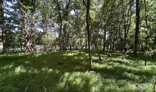 Photo #9 of SOLD property in 19081 Rawlings Rd, Capron, VA 0.7 acres