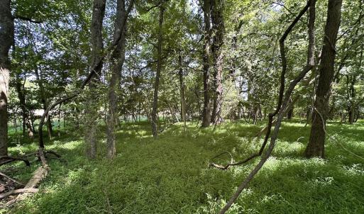 Photo #10 of SOLD property in 19081 Rawlings Rd, Capron, VA 0.7 acres