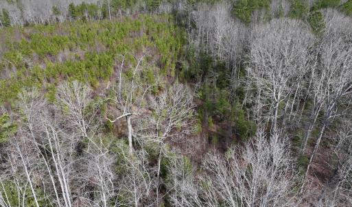 Photo #12 of SOLD property in 02 Pine Grove Church Road, Eagle Springs, NC 10.9 acres