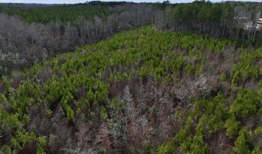 Photo #14 of SOLD property in 02 Pine Grove Church Road, Eagle Springs, NC 10.9 acres