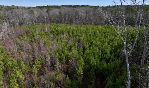Photo #15 of SOLD property in 02 Pine Grove Church Road, Eagle Springs, NC 10.9 acres