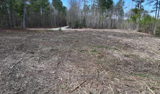 Photo #17 of SOLD property in 02 Pine Grove Church Road, Eagle Springs, NC 10.9 acres