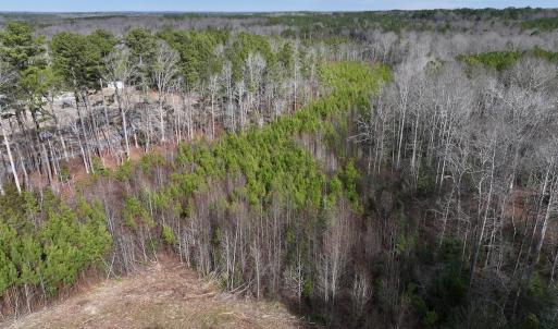 Photo #3 of SOLD property in 02 Pine Grove Church Road, Eagle Springs, NC 10.9 acres