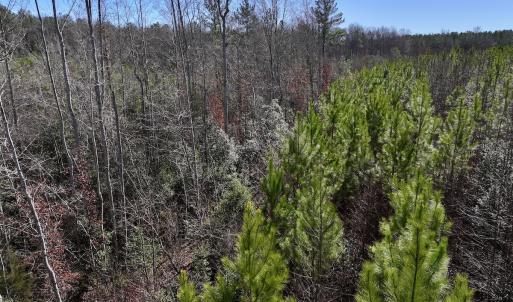 Photo #4 of SOLD property in 02 Pine Grove Church Road, Eagle Springs, NC 10.9 acres