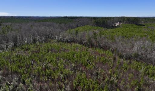 Photo #7 of SOLD property in 02 Pine Grove Church Road, Eagle Springs, NC 10.9 acres