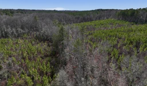 Photo #8 of SOLD property in 02 Pine Grove Church Road, Eagle Springs, NC 10.9 acres