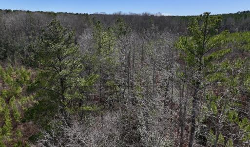 Photo #9 of SOLD property in 02 Pine Grove Church Road, Eagle Springs, NC 10.9 acres