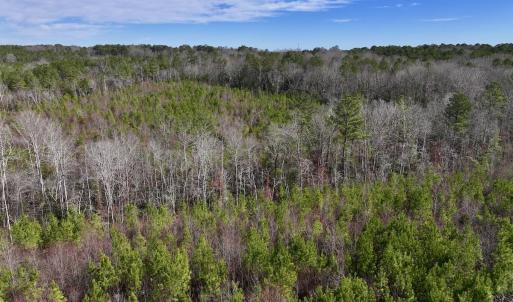 Photo #10 of SOLD property in 02 Pine Grove Church Road, Eagle Springs, NC 10.9 acres