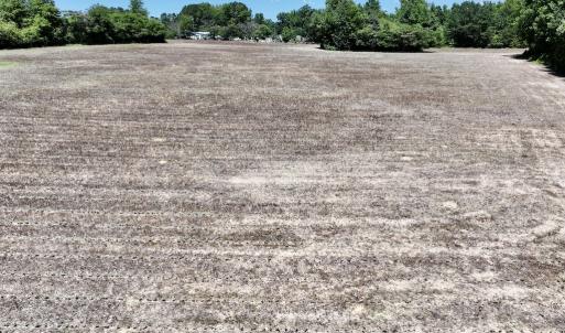 Photo #12 of SOLD property in Off Highway 48, Littleton, NC 4.6 acres