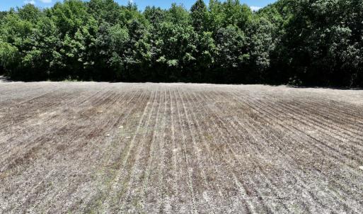 Photo #14 of SOLD property in Off Highway 48, Littleton, NC 4.6 acres
