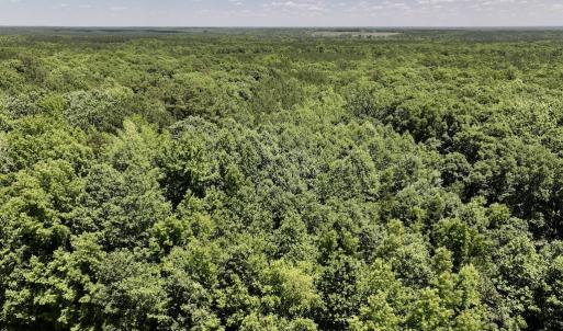 Photo #15 of SOLD property in Off Highway 48, Littleton, NC 4.6 acres