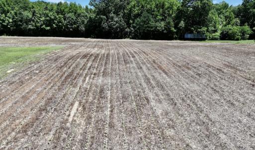 Photo #17 of SOLD property in Off Highway 48, Littleton, NC 4.6 acres