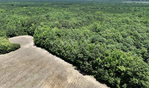 Photo #4 of SOLD property in Off Highway 48, Littleton, NC 4.6 acres