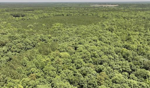 Photo #6 of SOLD property in Off Highway 48, Littleton, NC 4.6 acres