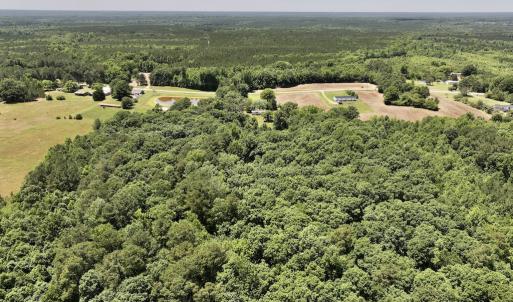 Photo #7 of SOLD property in Off Highway 48, Littleton, NC 4.6 acres