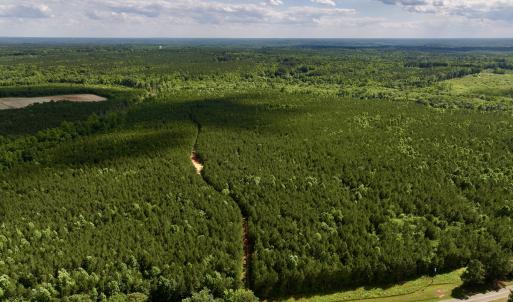 Photo #2 of SOLD property in Off Warrenton Embro Rd, Macon, NC 149.8 acres