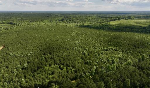 Photo #13 of SOLD property in Off Warrenton Embro Rd, Macon, NC 149.8 acres