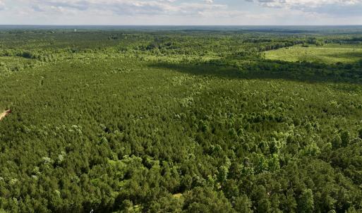 Photo #14 of SOLD property in Off Warrenton Embro Rd, Macon, NC 149.8 acres