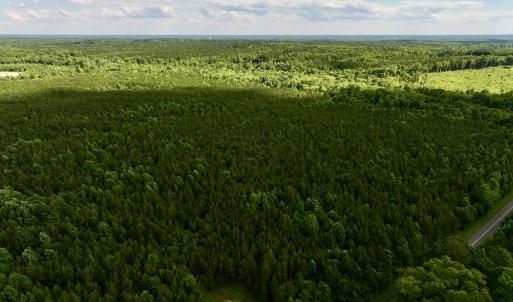 Photo #15 of SOLD property in Off Warrenton Embro Rd, Macon, NC 149.8 acres