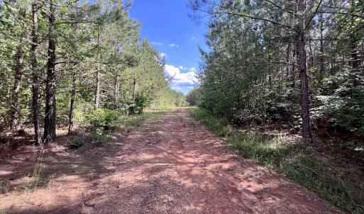 Photo #17 of SOLD property in Off Warrenton Embro Rd, Macon, NC 149.8 acres