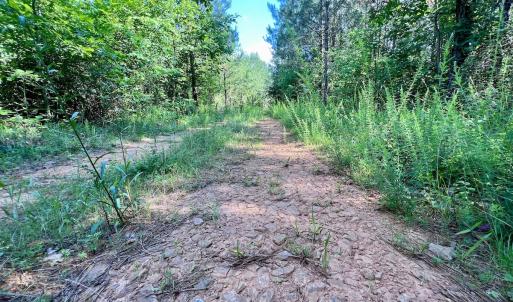 Photo #18 of SOLD property in Off Warrenton Embro Rd, Macon, NC 149.8 acres