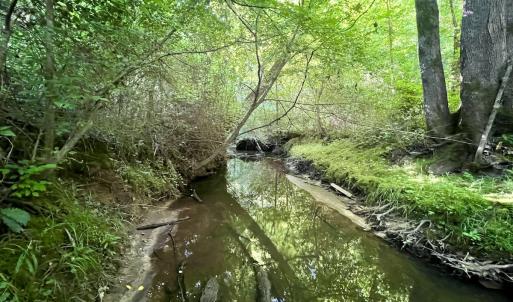 Photo #20 of SOLD property in Off Warrenton Embro Rd, Macon, NC 149.8 acres