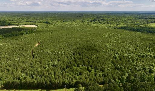 Photo #3 of SOLD property in Off Warrenton Embro Rd, Macon, NC 149.8 acres