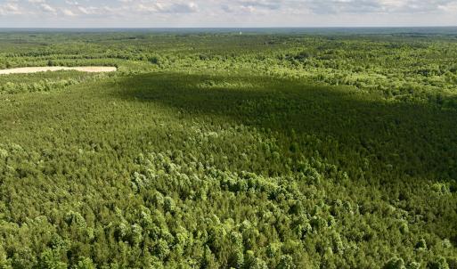 Photo #4 of SOLD property in Off Warrenton Embro Rd, Macon, NC 149.8 acres