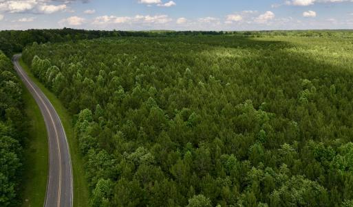 Photo #5 of SOLD property in Off Warrenton Embro Rd, Macon, NC 149.8 acres