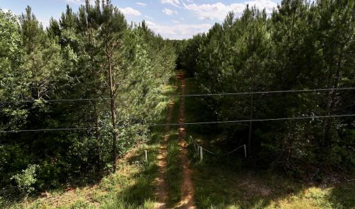 Photo #6 of SOLD property in Off Warrenton Embro Rd, Macon, NC 149.8 acres