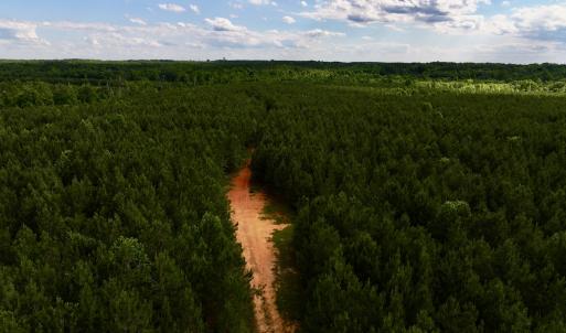 Photo #7 of SOLD property in Off Warrenton Embro Rd, Macon, NC 149.8 acres