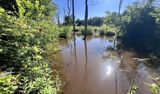 Photo #21 of SOLD property in Off Warrenton Embro Rd, Macon, NC 149.8 acres