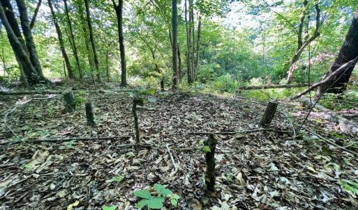 Photo #22 of SOLD property in Off Warrenton Embro Rd, Macon, NC 149.8 acres