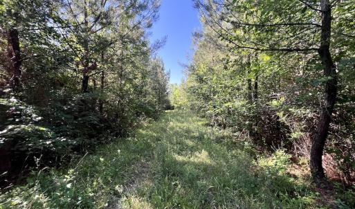 Photo #24 of SOLD property in Off Warrenton Embro Rd, Macon, NC 149.8 acres