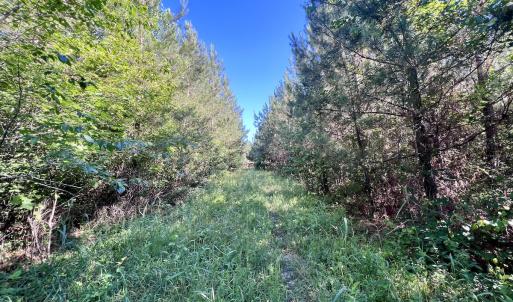 Photo #25 of SOLD property in Off Warrenton Embro Rd, Macon, NC 149.8 acres