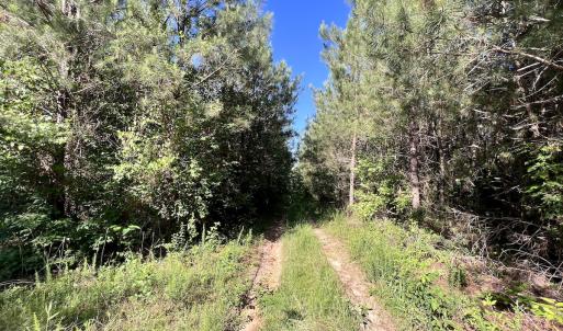Photo #26 of SOLD property in Off Warrenton Embro Rd, Macon, NC 149.8 acres