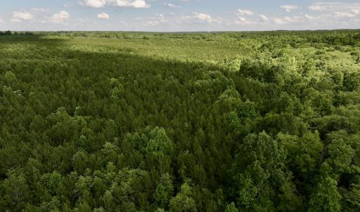 Photo #30 of SOLD property in Off Warrenton Embro Rd, Macon, NC 149.8 acres