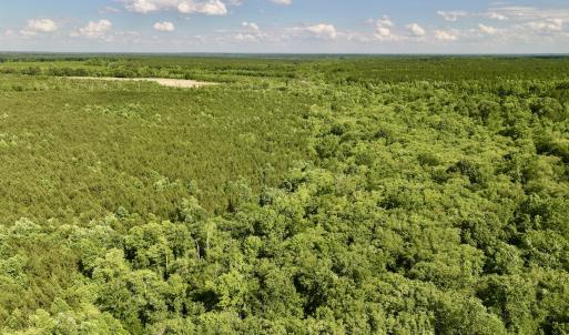 Photo #31 of SOLD property in Off Warrenton Embro Rd, Macon, NC 149.8 acres