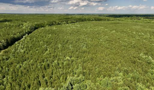 Photo #32 of SOLD property in Off Warrenton Embro Rd, Macon, NC 149.8 acres