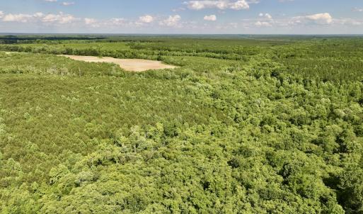 Photo #33 of SOLD property in Off Warrenton Embro Rd, Macon, NC 149.8 acres