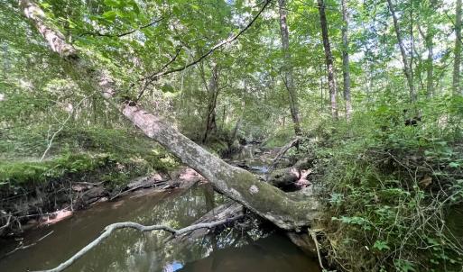 Photo #36 of SOLD property in Off Warrenton Embro Rd, Macon, NC 149.8 acres