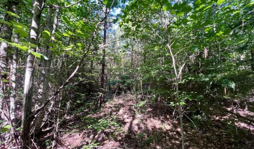 Photo #38 of SOLD property in Off Warrenton Embro Rd, Macon, NC 149.8 acres