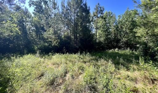 Photo #40 of SOLD property in Off Warrenton Embro Rd, Macon, NC 149.8 acres
