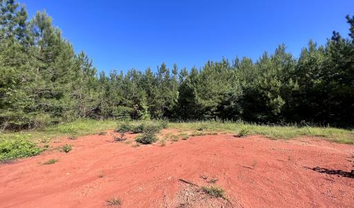 Photo #41 of SOLD property in Off Warrenton Embro Rd, Macon, NC 149.8 acres