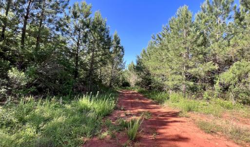 Photo #42 of SOLD property in Off Warrenton Embro Rd, Macon, NC 149.8 acres