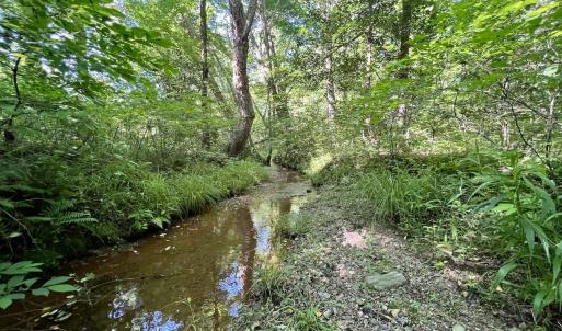 Photo #48 of SOLD property in Off Warrenton Embro Rd, Macon, NC 149.8 acres