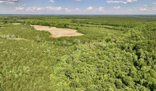 Photo #51 of SOLD property in Off Warrenton Embro Rd, Macon, NC 149.8 acres