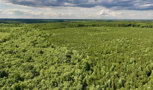 Photo #52 of SOLD property in Off Warrenton Embro Rd, Macon, NC 149.8 acres